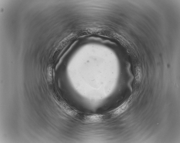 X0000058780184200510211757