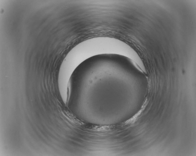 X0000058780186200510211757