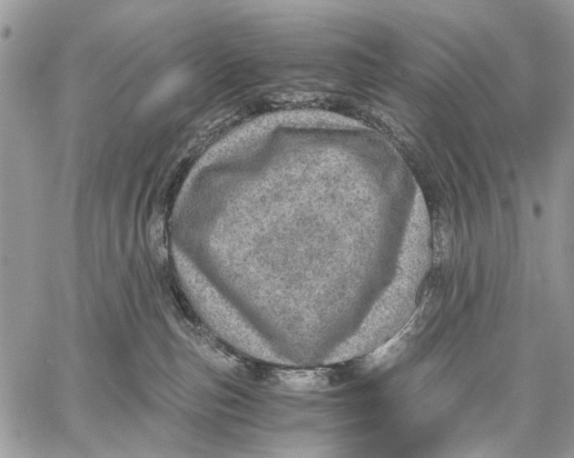 X0000058780187200510211757