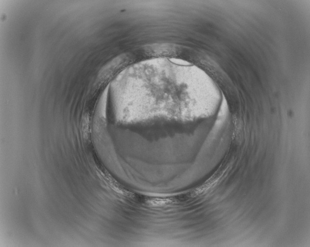 X0000058780189200510211757