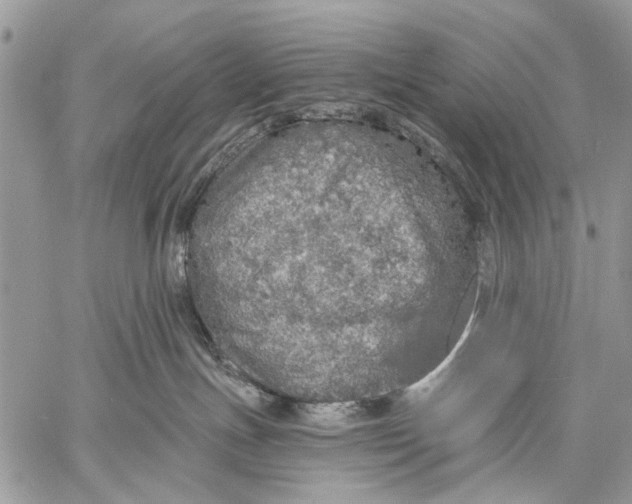 X0000058780191200510211757