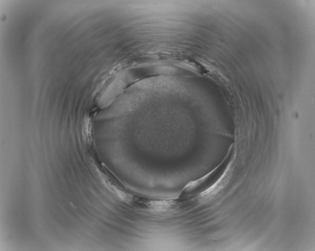 X0000058780192200510211757