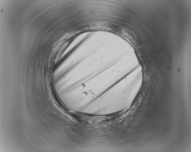 X0000058780193200510211756