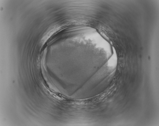 X0000058780194200510211756