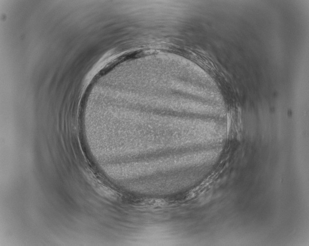 X0000058780195200510211756