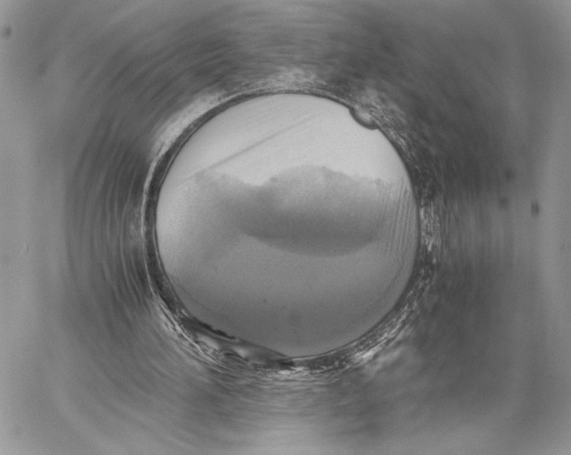 X0000058780196200510211756