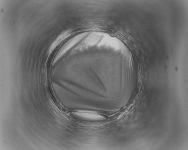 X0000058780198200510211756