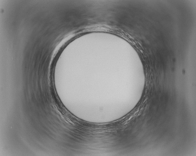 X0000058780200200510211756