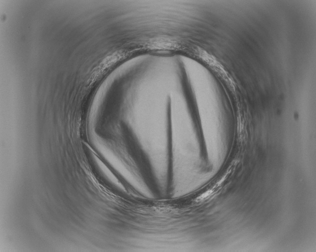 X0000058780201200510211756