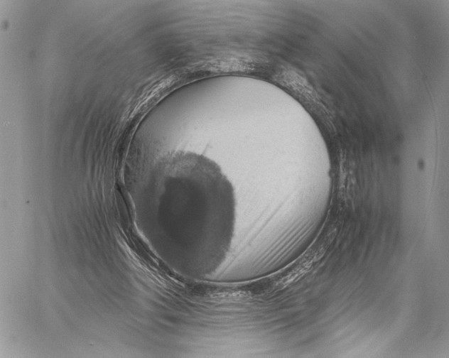 X0000058780202200510211756