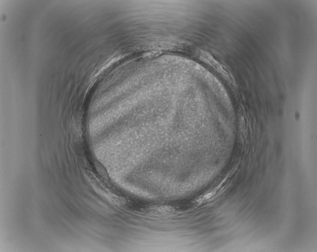 X0000058780203200510211756