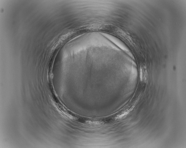 X0000058780205200510211756