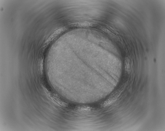 X0000058780206200510211756