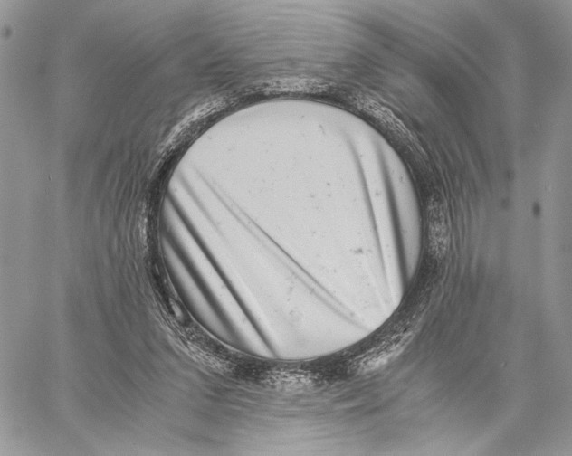 X0000058780207200510211756