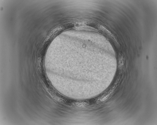 X0000058780209200510211756