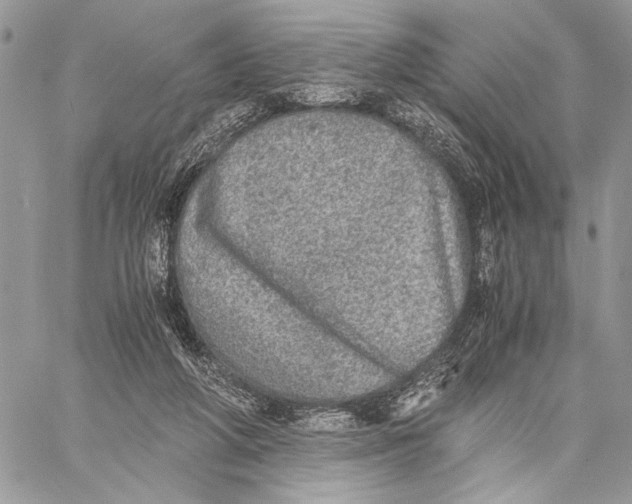 X0000058780210200510211756