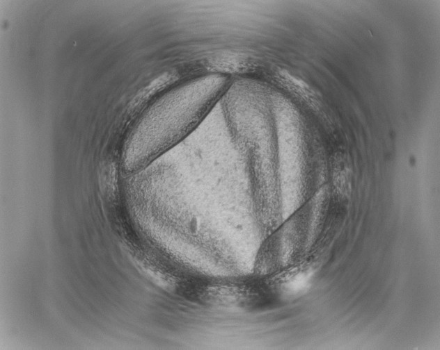 X0000058780211200510211756