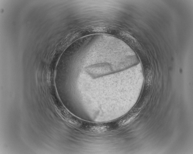 X0000058780213200510211756