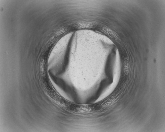 X0000058780215200510211756