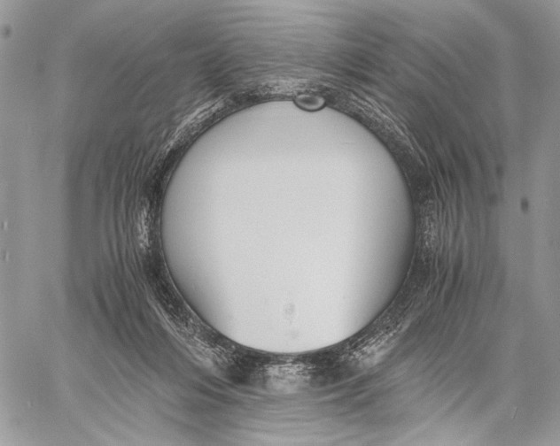 X0000058780216200510211756