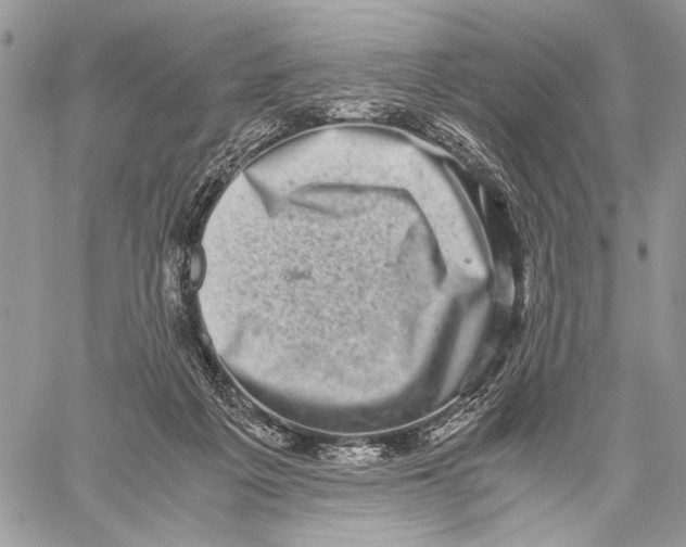 X0000058780217200510211756