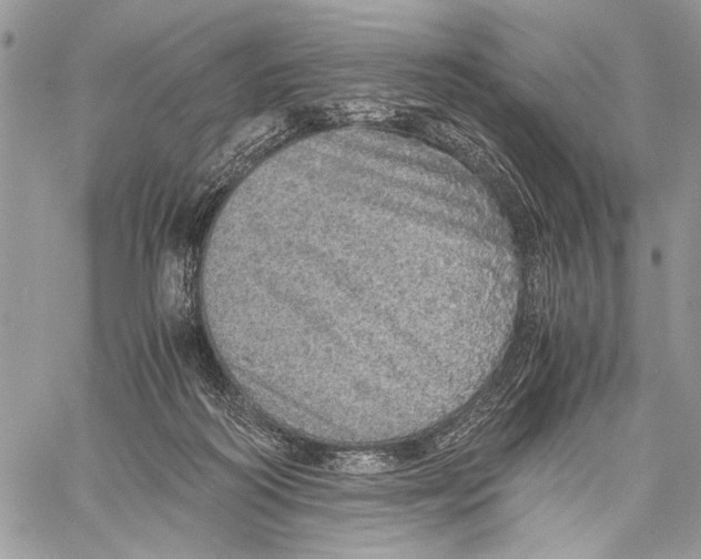 X0000058780218200510211756