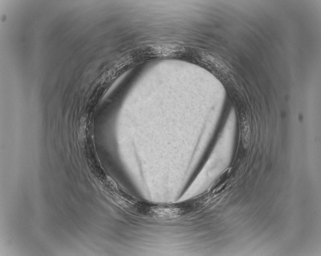 X0000058780221200510211756