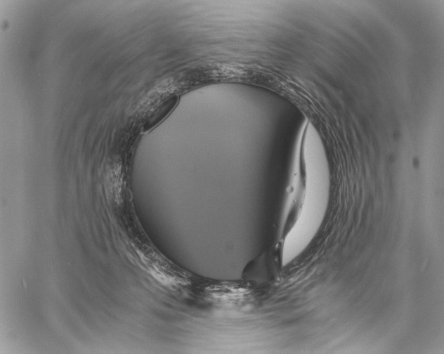 X0000058780223200510211756