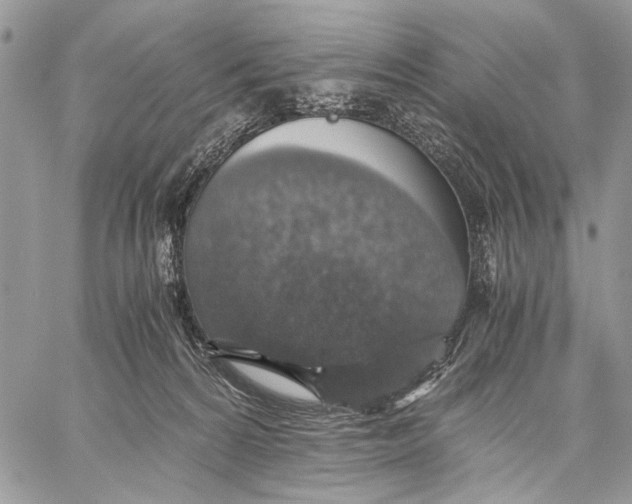 X0000058780224200510211756