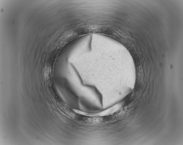 X0000058780225200510211756