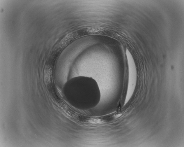 X0000058780227200510211756