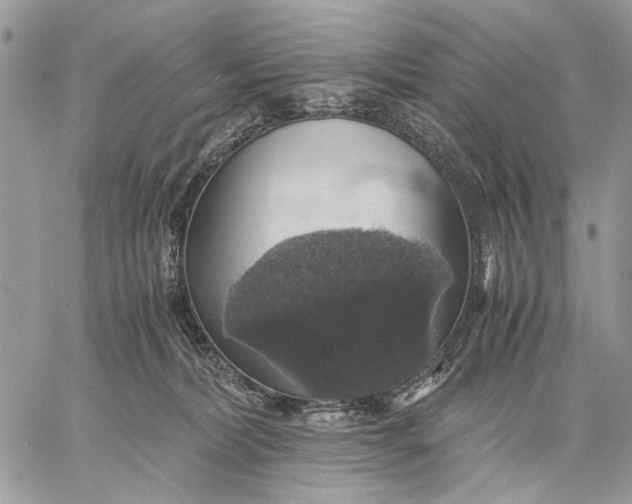 X0000058780228200510211756