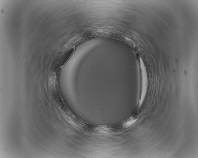 X0000058780231200510211756