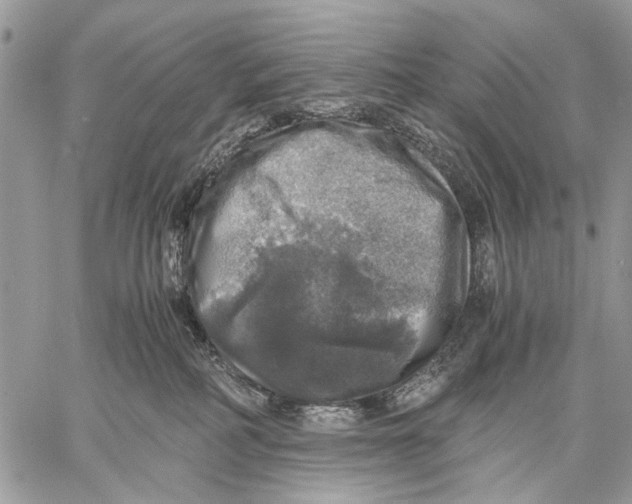 X0000058780234200510211756