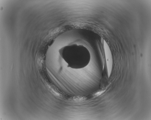 X0000058780235200510211756