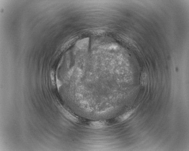 X0000058780238200510211756