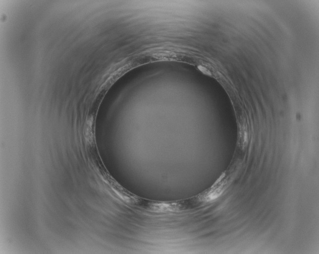 X0000058780239200510211756