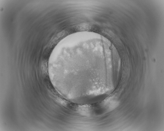 X0000058780240200510211756