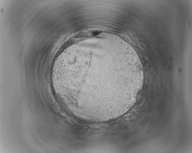 X0000058780241200510211755