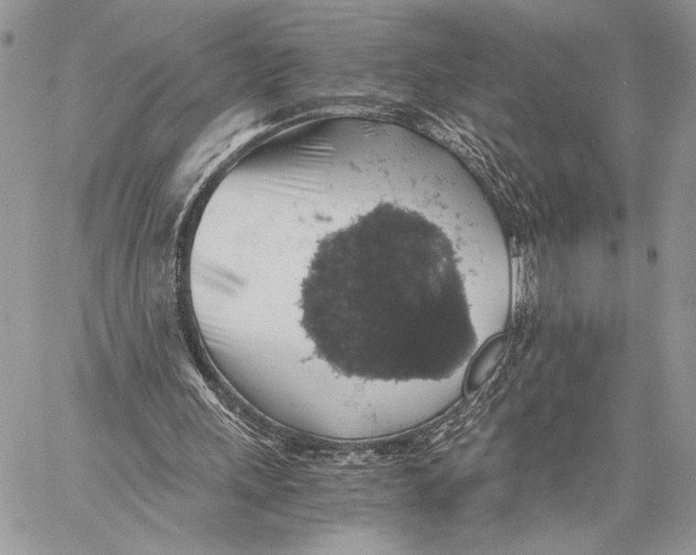 X0000058780243200510211755