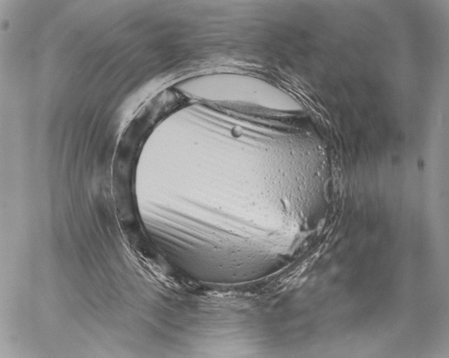 X0000058780244200510211755