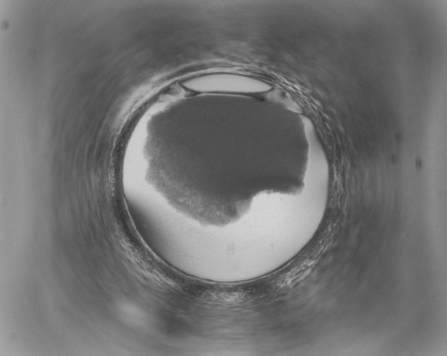 X0000058780247200510211755