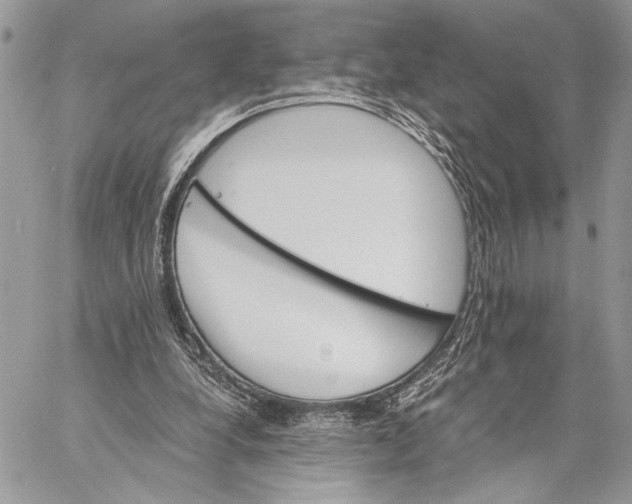 X0000058780248200510211755