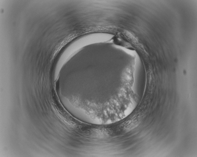 X0000058780250200510211755