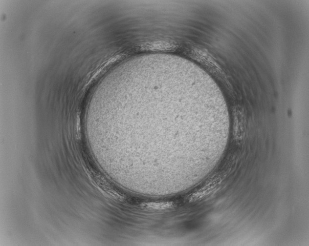 X0000058780251200510211755