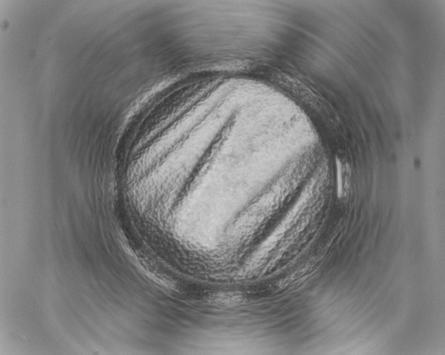 X0000058780252200510211755