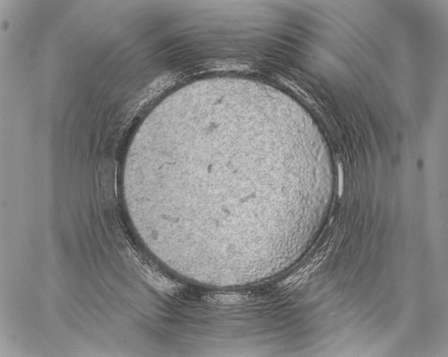 X0000058780253200510211755