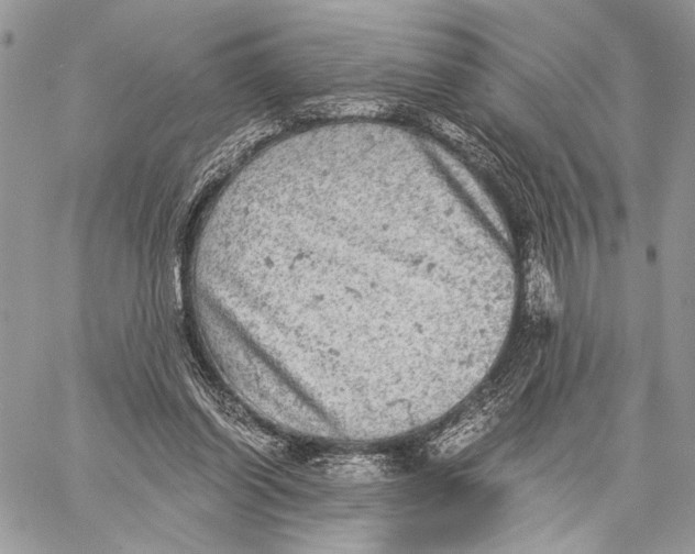 X0000058780254200510211755