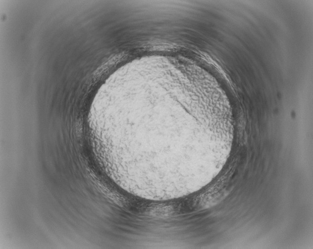 X0000058780257200510211755