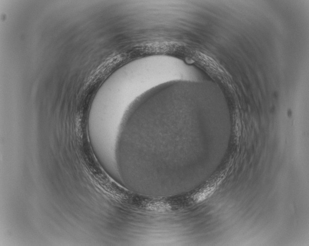 X0000058780258200510211755